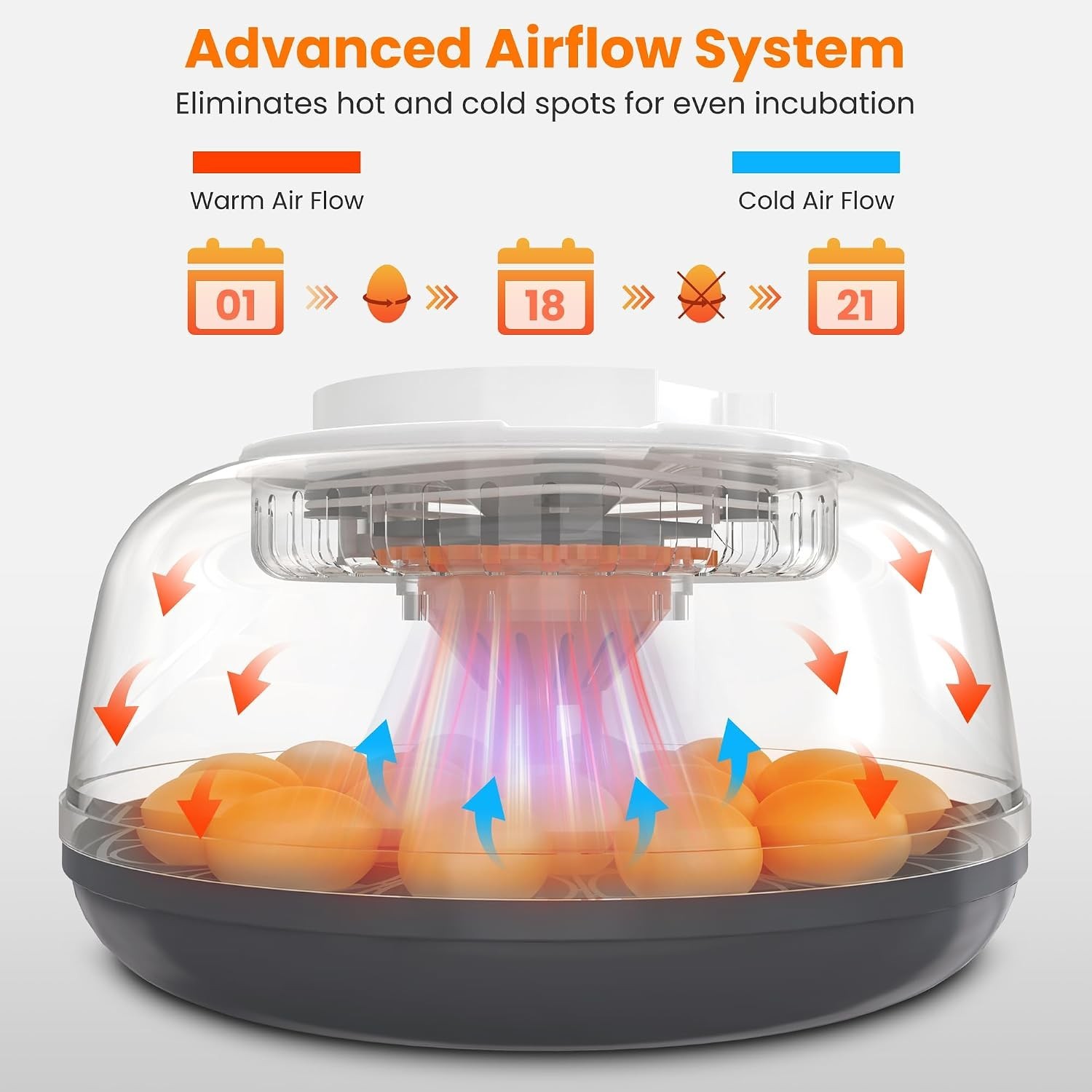 18 Egg Automatic Egg Incubator for Hatching Chickens Auto Turning Humidity Temp