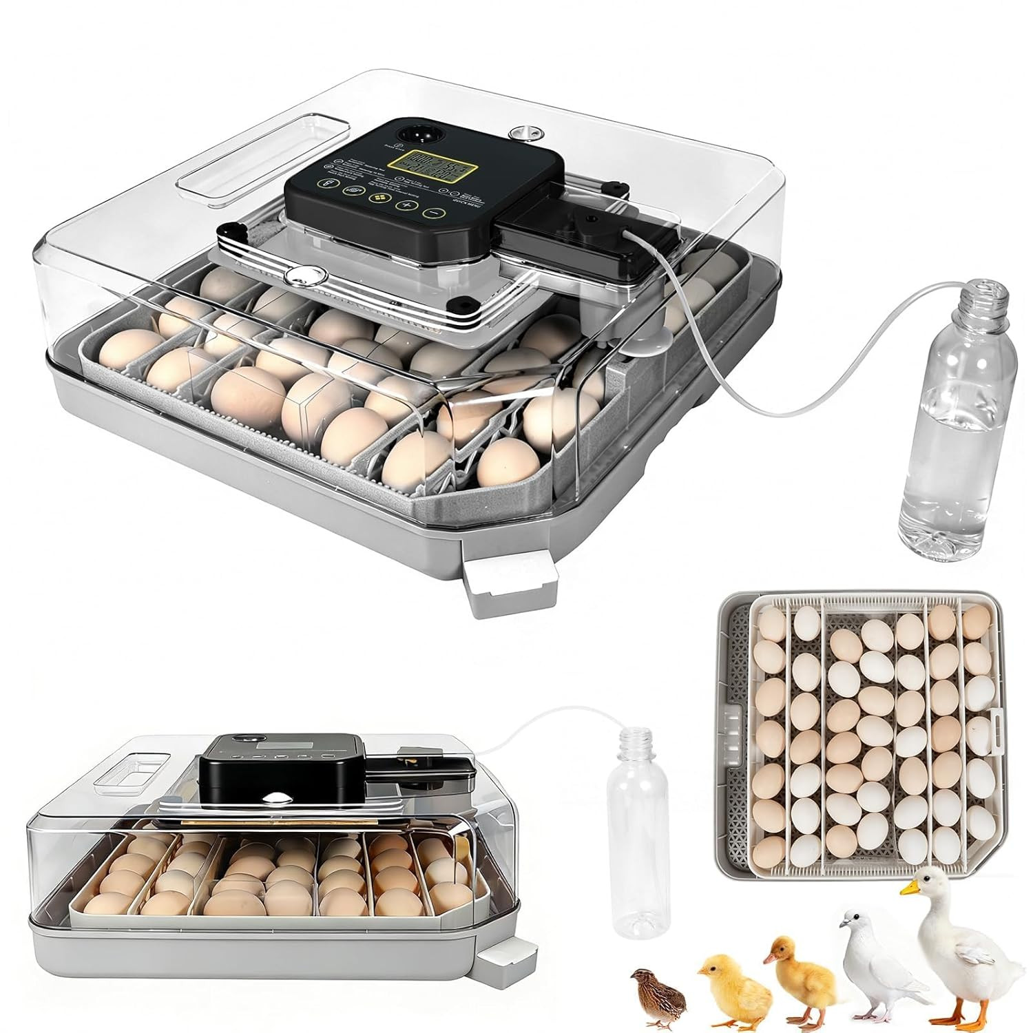 Gen IV 48 Egg Automatic Incubator with Smart Temp & Humidity Control