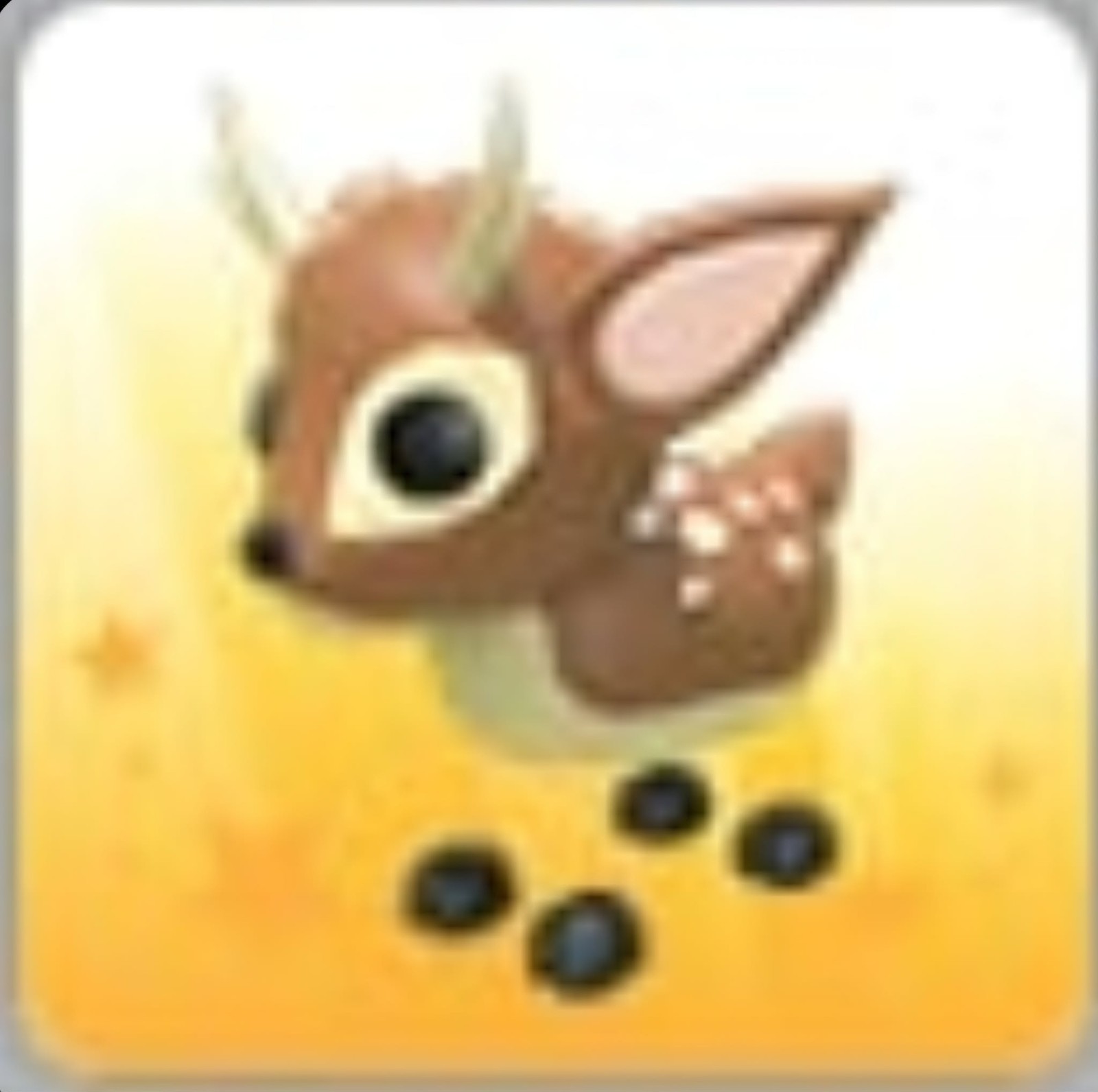 Fallow Deer | NFR | MFR | Adopt Now!