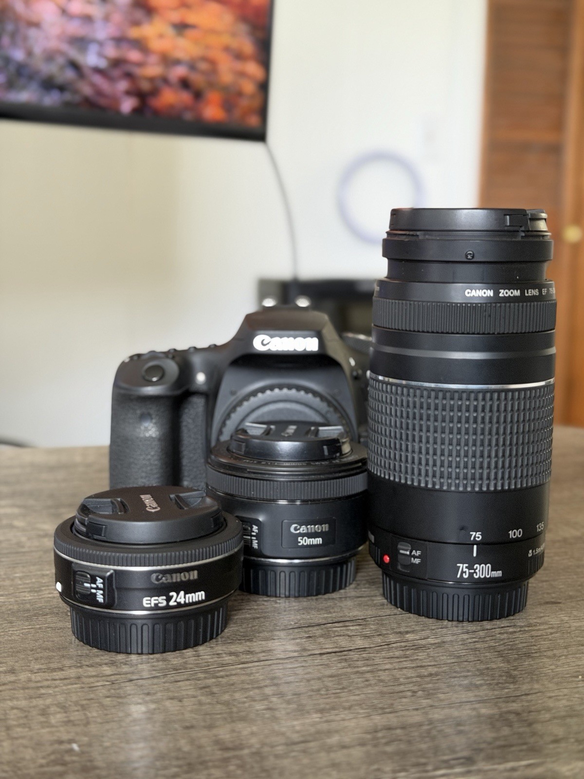 Canon EOS 90D Bundle w/ EF-S 24mm, 50mm, 75-300mm Zoom Lenses & Flash