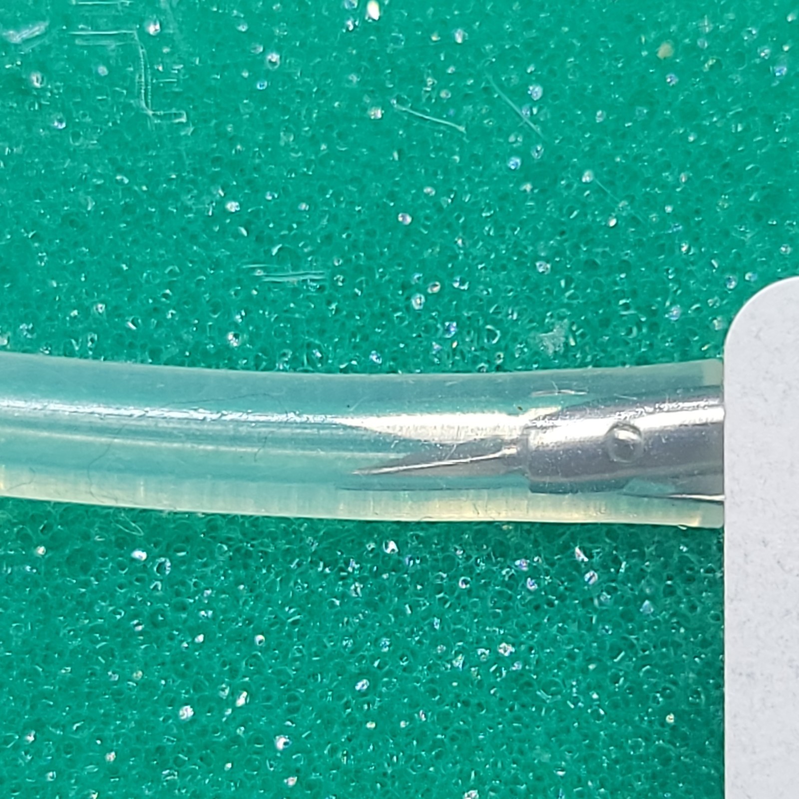 fine science tools #15000-8 spring scissors