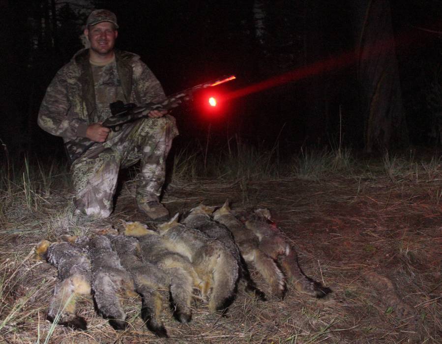 Wicked Lights W403iC Deluxe Night Hunting Light Kit for Coyotes & Hogs W2015