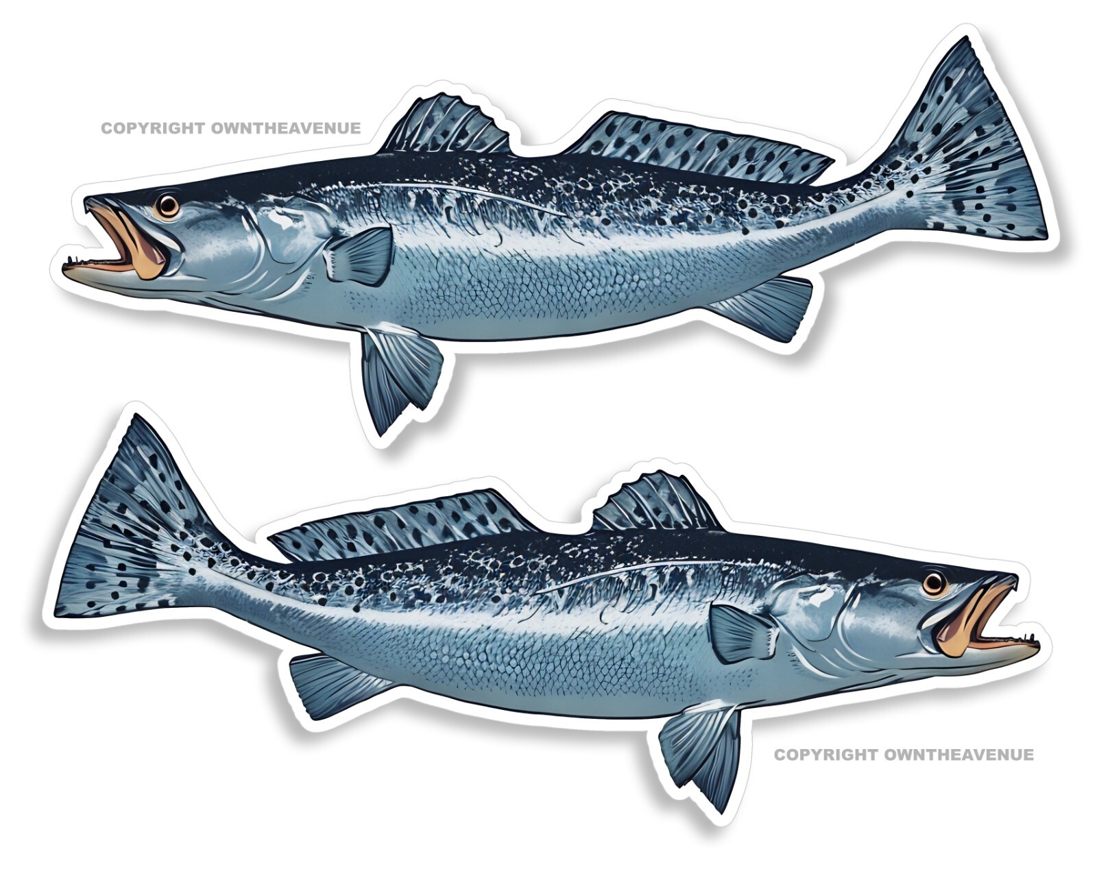 Spotted Saltwater Trout Fish Fishing RV Boat Camper Trailer Car Truck Stickers