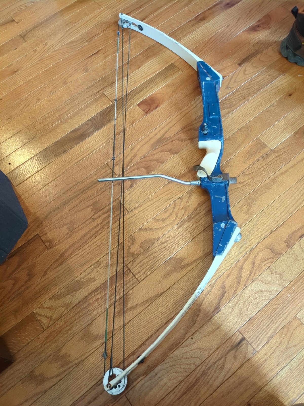 hoyt Easton contender compound bow