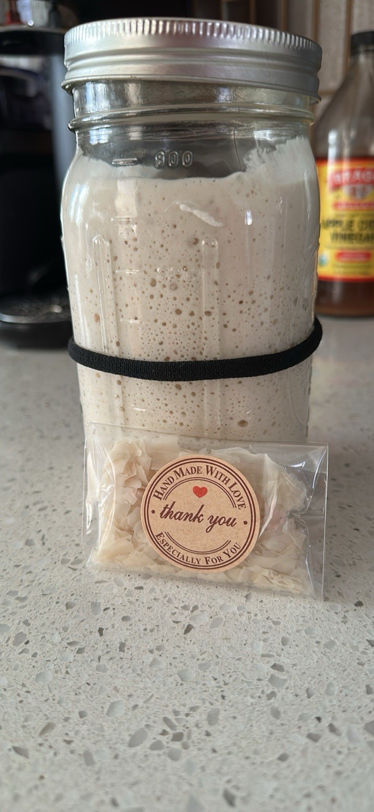 Established Dehydrated Sourdough Starter - wildly active!