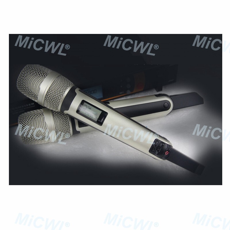 Pro UR24D Digital Wireless Microphone 2 SKM9000 Mic DJ Karaoke UHF System