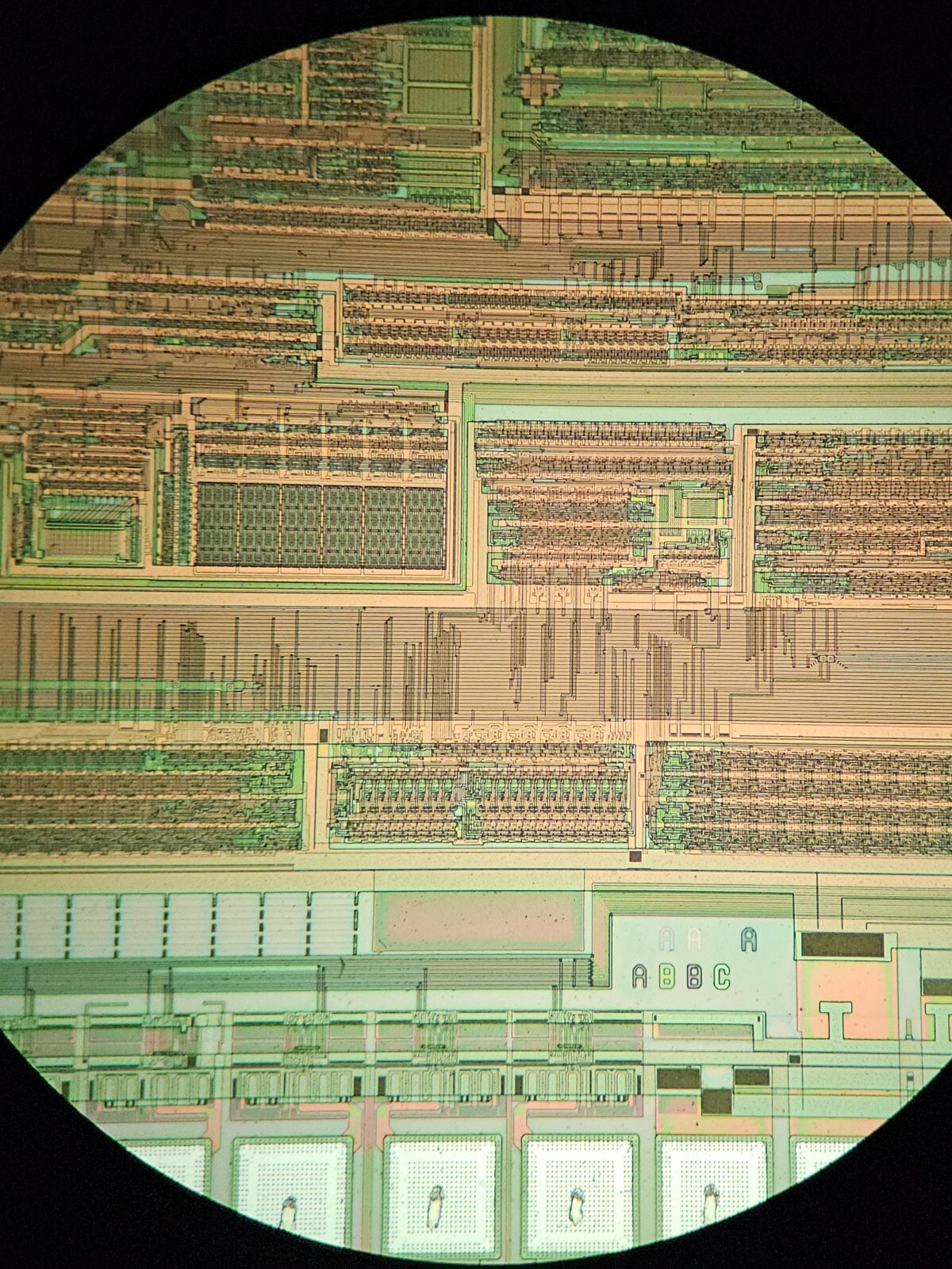 microscope slides