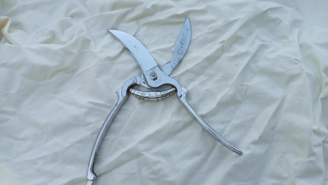 Wiss Germany #1309 Chrome Poultry Shears with Toggle Lock 9"