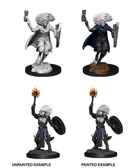 D&D Nolzur's Marvelous Unpainted Miniatures: Changeling Cleric Male