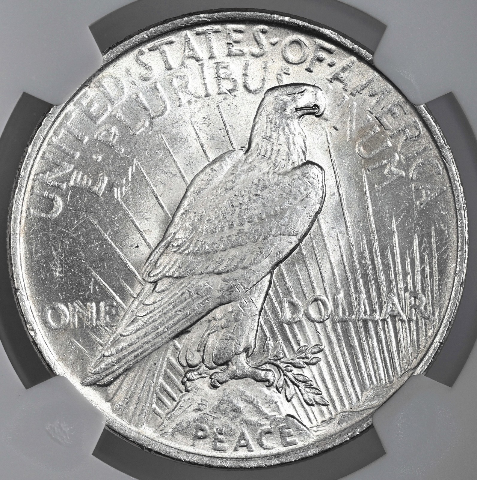 1923-P $1 PEACE SILVER DOLLAR "PHILADELPHIA" NGC MS61 #8131586-019 TONING SPOTS
