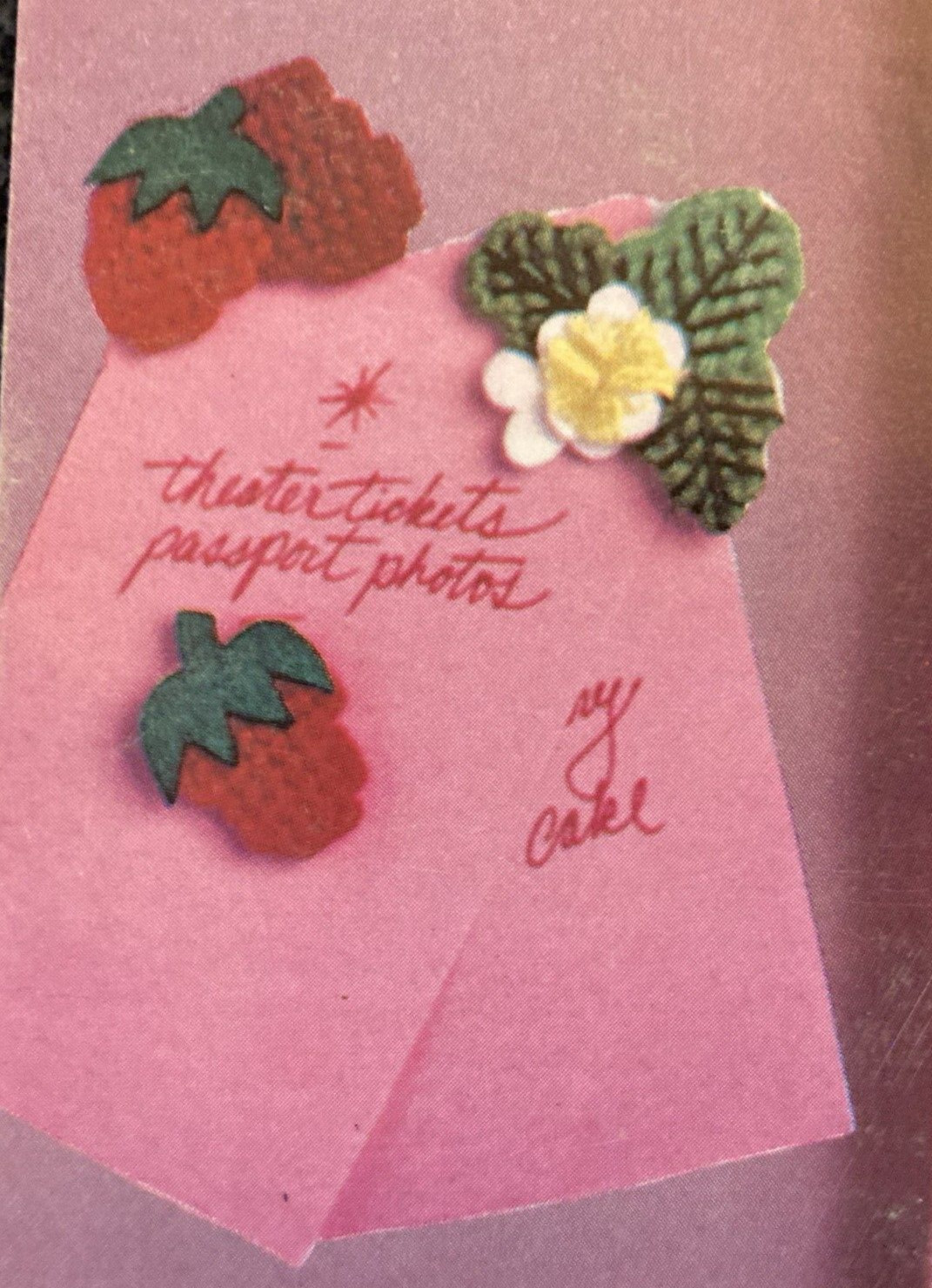 Vtg Rare Columbia-Minerva Plastic Canvas Projects 14 Strawberry Patch Design '82
