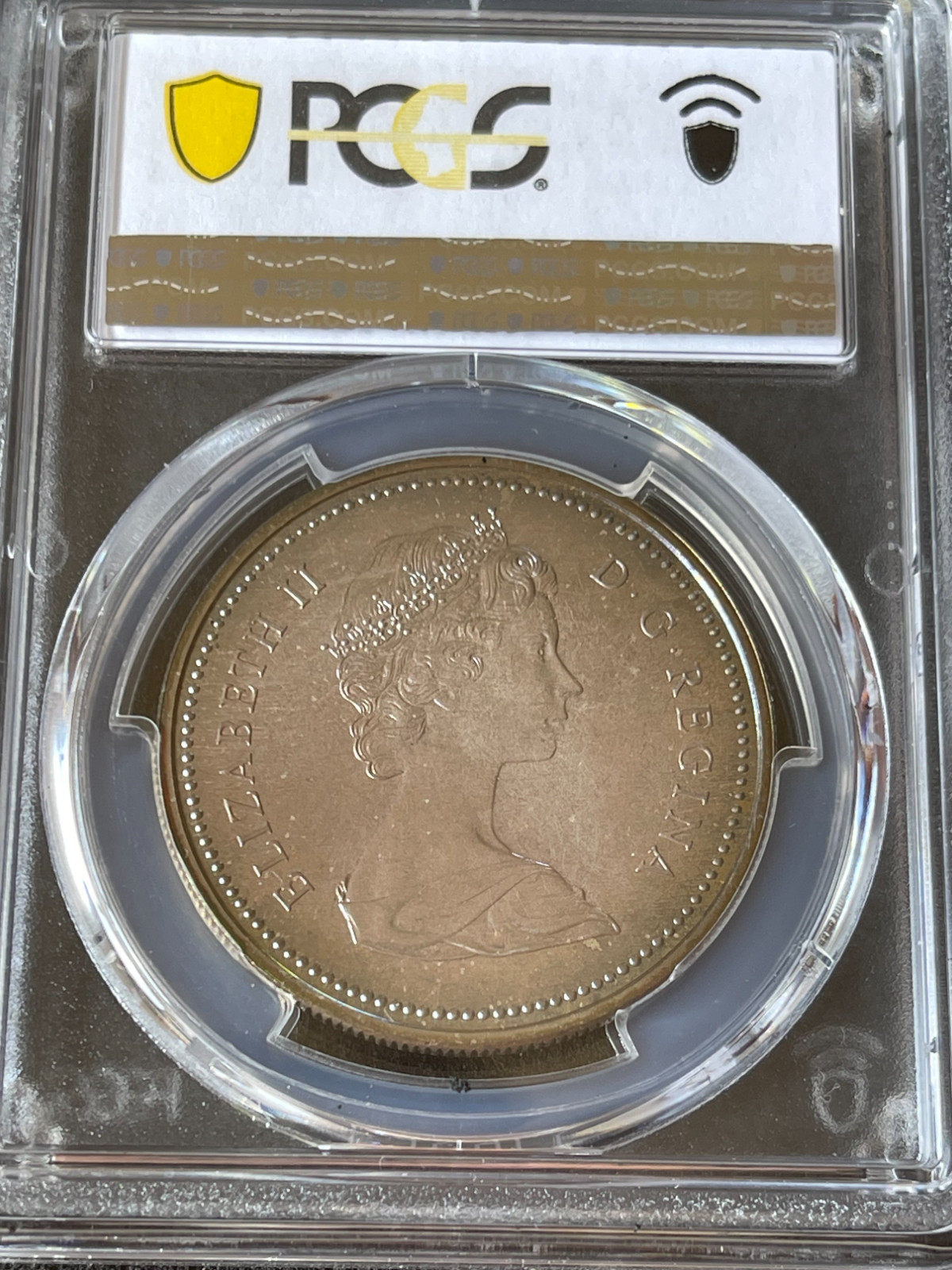 C012 Nicely toned 1972 Canada PCGS SP67 Voyageur Ag Silver Dollar.