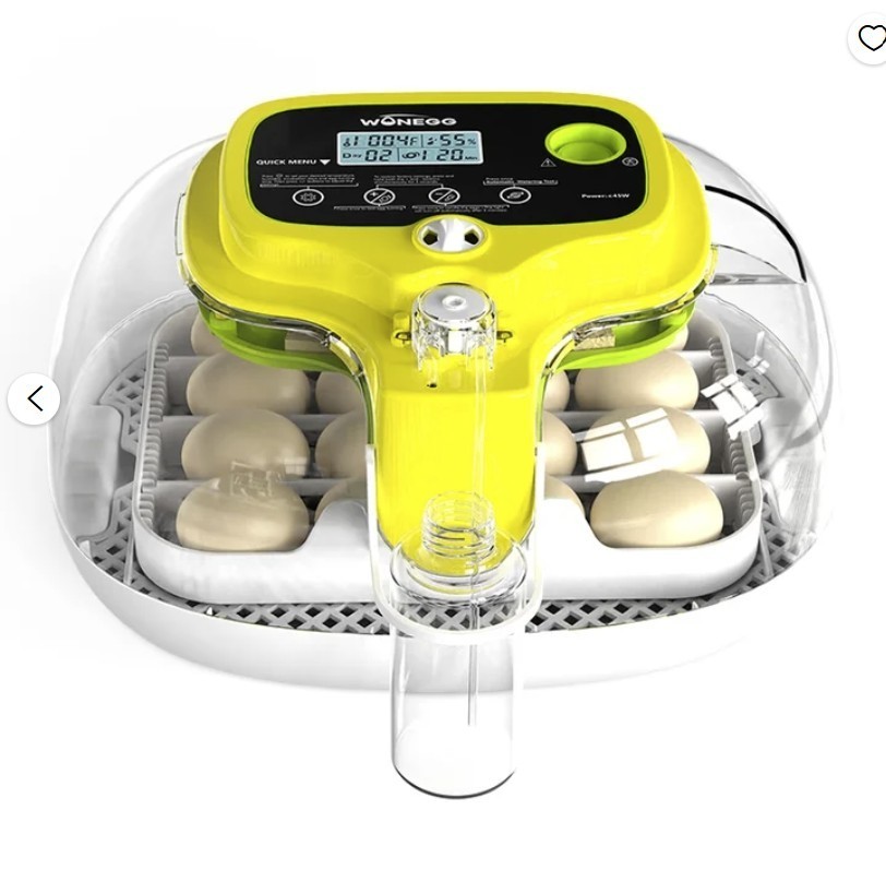 Premium Automatic 16 Egg Incubator by WONEGG for Birds like Chickens, Ducks, Tur