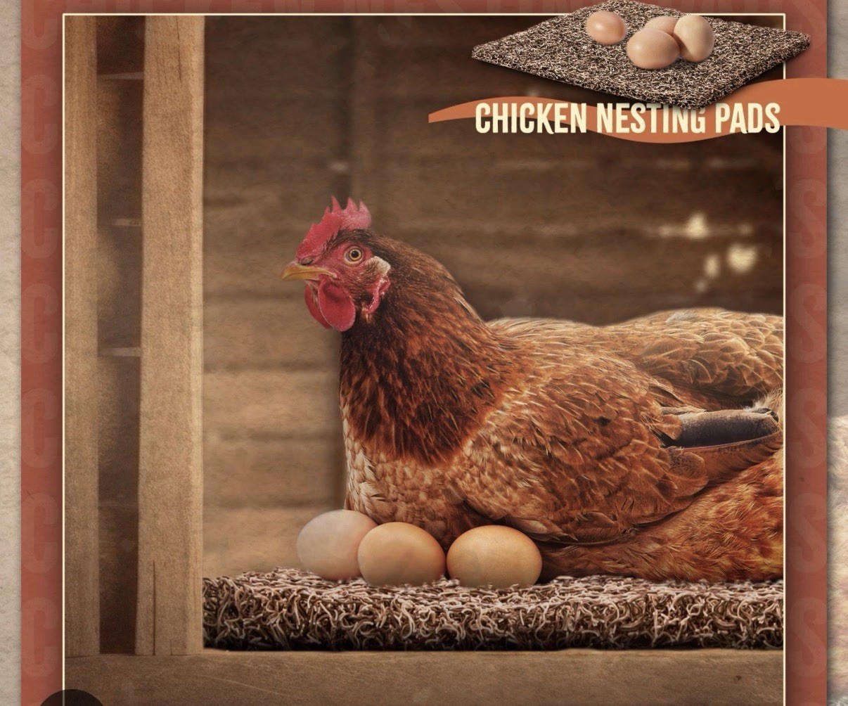 Washable Chicken Nesting Box Pads 6 Pcs Reusable Hens Nest Bedding Artificial