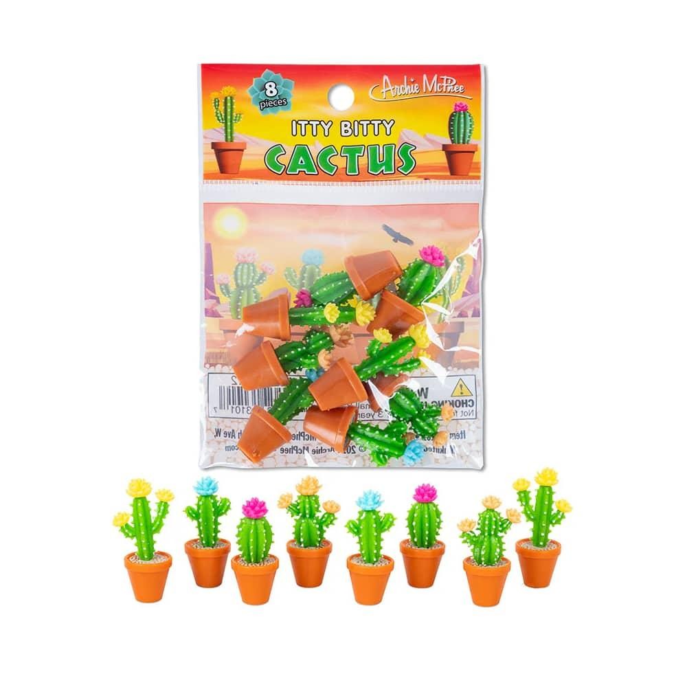 Itty Bitty Cactus