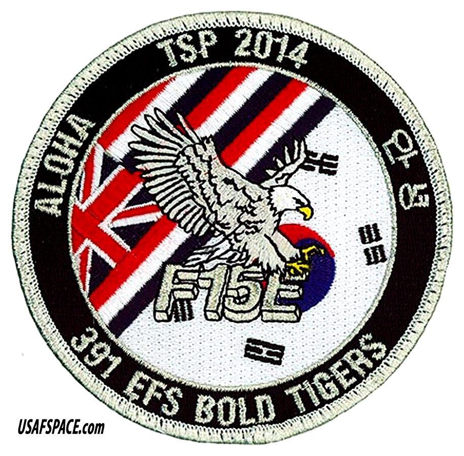 USAF 391st EXPEDITIONARY FIGHTER SQ -391 FS- F-15E –THEATER SECURITY- VEL PATCH