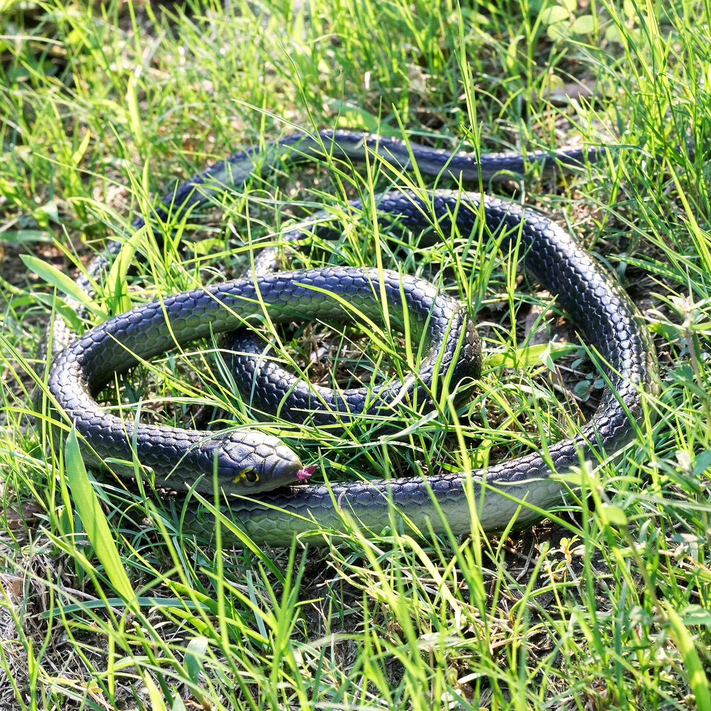 3-Pack Ultra-Realistic Rubber Snakes for Halloween Decorations, L, Black