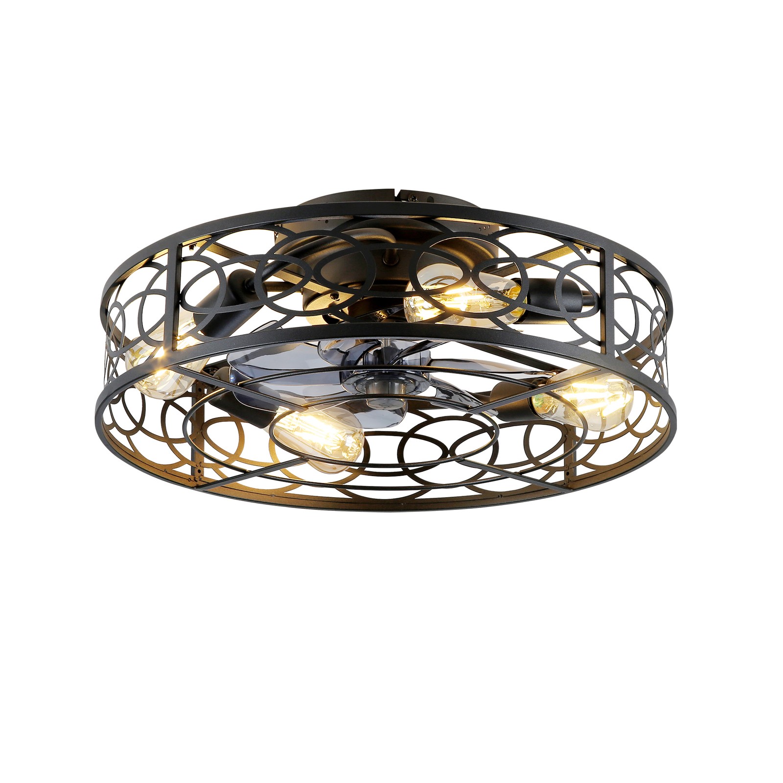 20" Caged Ceiling Fan with Lights and Remote, 6 Speed, Matte Black