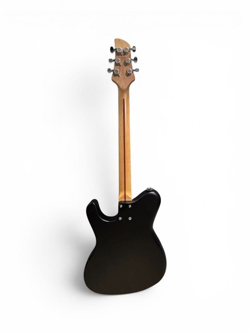Dragonfly Border 666 Matte Black