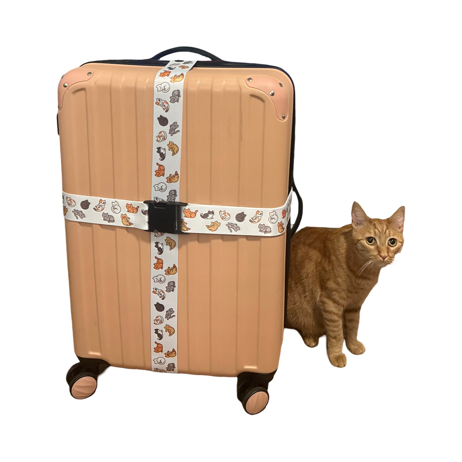 Luggage Strap with Cute Cat Pattern, Adjustable Travel Suitcase Belt w/ Buckle