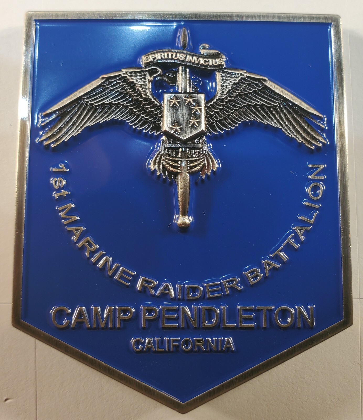 1st Marine Raider Battalion Marine Corps Camp Pendleton Challenge Coin 2" 160