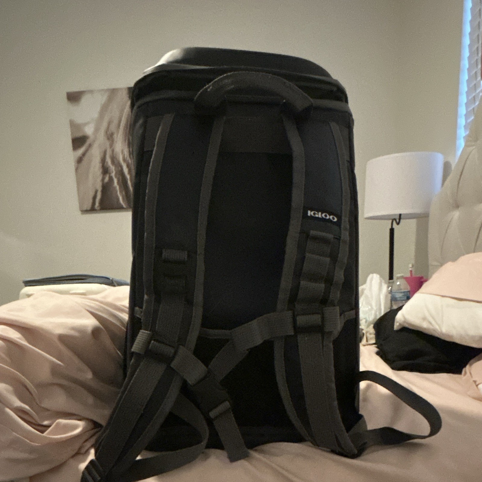 Igloo 16 qt Black Polyester Insulated Cooler Backpack Bag, Adjustable Straps