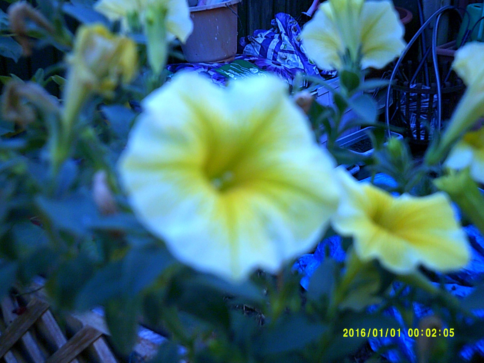Aberg Best 18MP Digital Camera of Misery and Despair