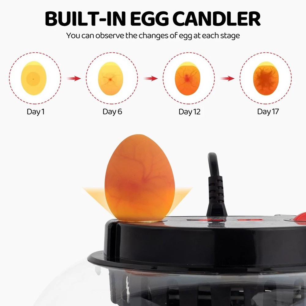 12 Egg Automatic Turning Chicken Hatcher Incubators Stable Temperature Incubator