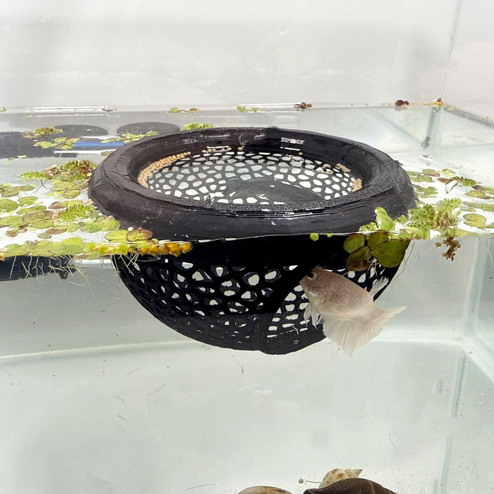 Black Aquarium Floating Betta Fish Skins Feeder Cave Hammock Feeding Rings