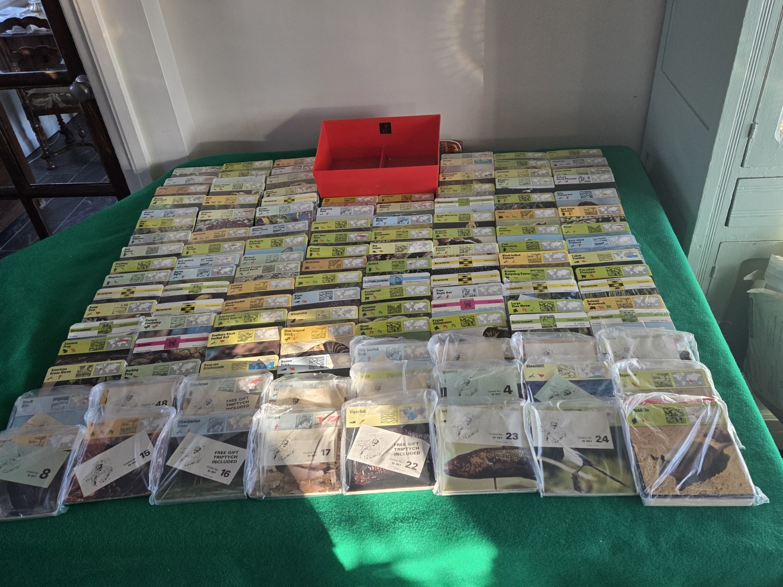 Vintage Rencontre Safari Cards 124  Packs 105 Are sealed 3000+ cards Ex+ NM Cond