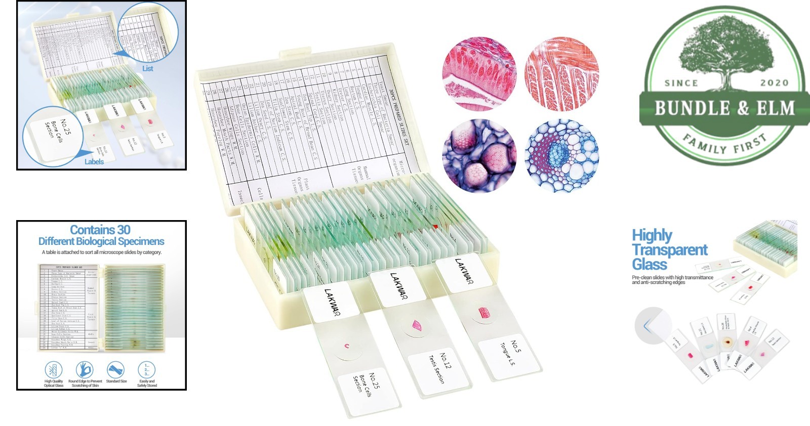 Educational Microscope Slides Kit with 30 Prepared Specimens for Beginners