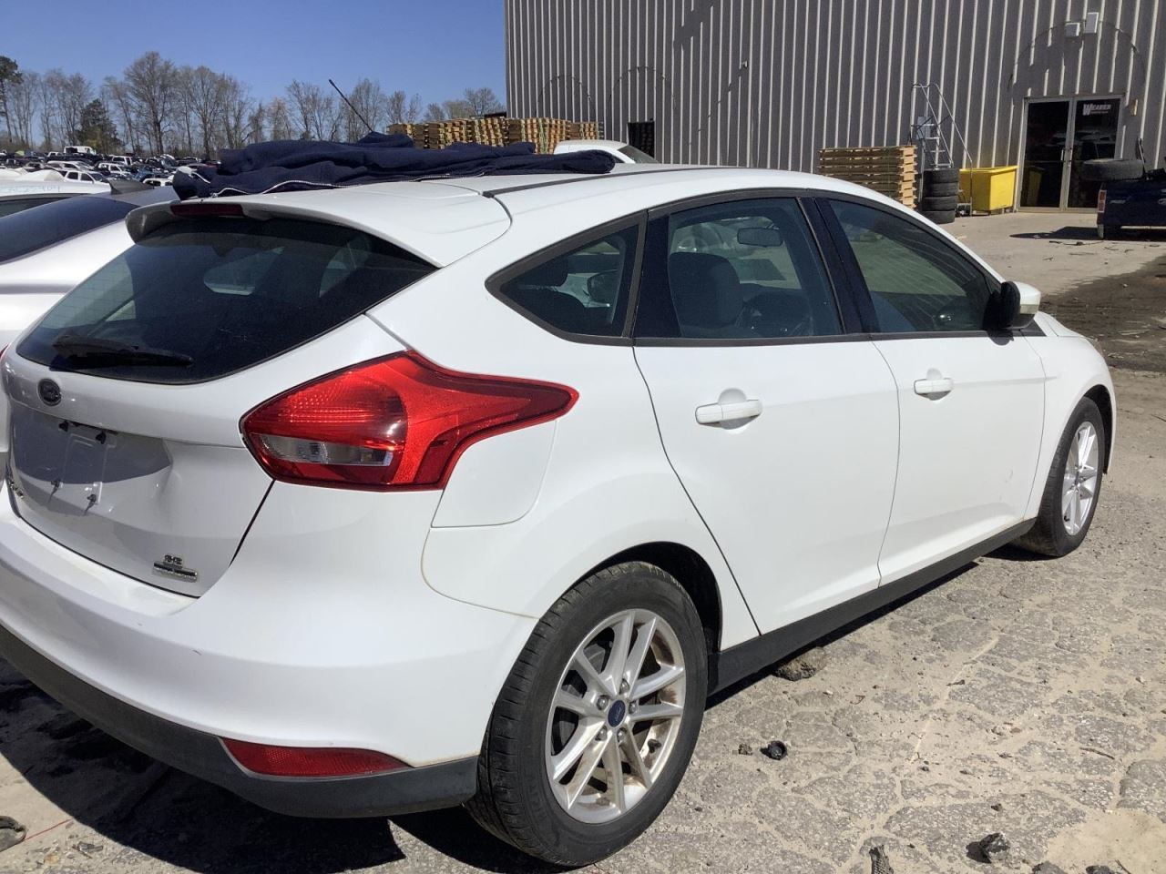 FOCUS 2015 Glove Box 4577676