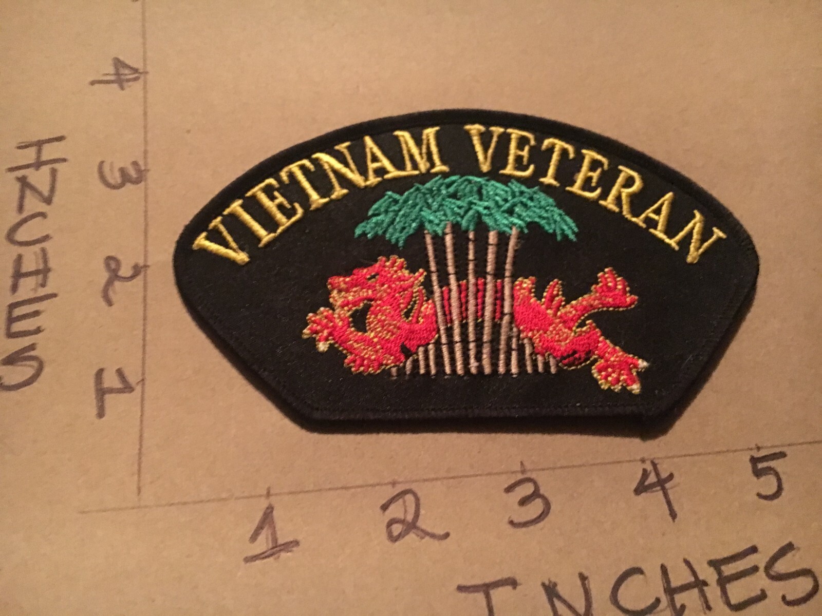 Vietnam Veteran Dragon Hat Patch 4/25/25 modern