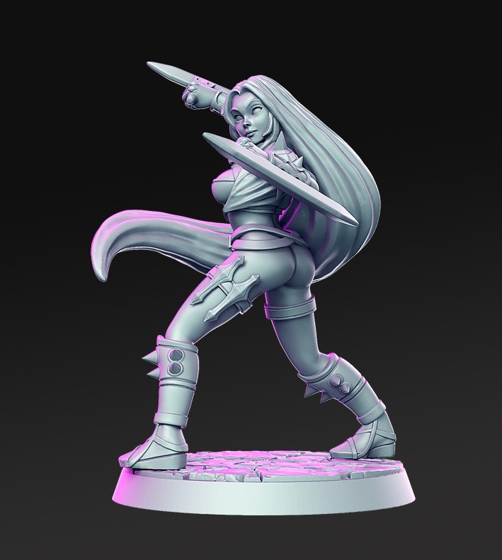 Dungeons and Dragons - Playable Character - Female Human Ako - Barbarian, Rogue