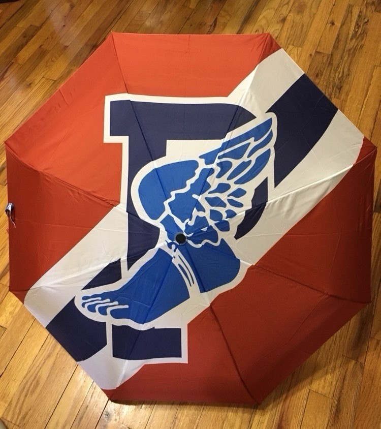 Custom Inspired umbrella Of The 1992 Pwing Line🔥🔥🔥