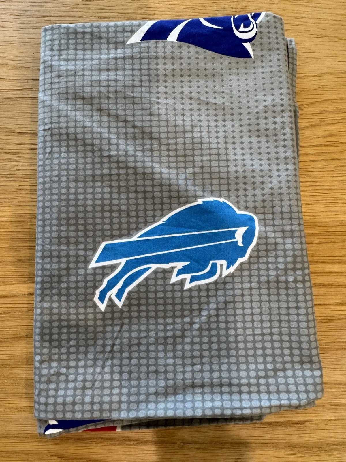 Pottery Barn Teen NFL Brights Logo Pillowcase Standard