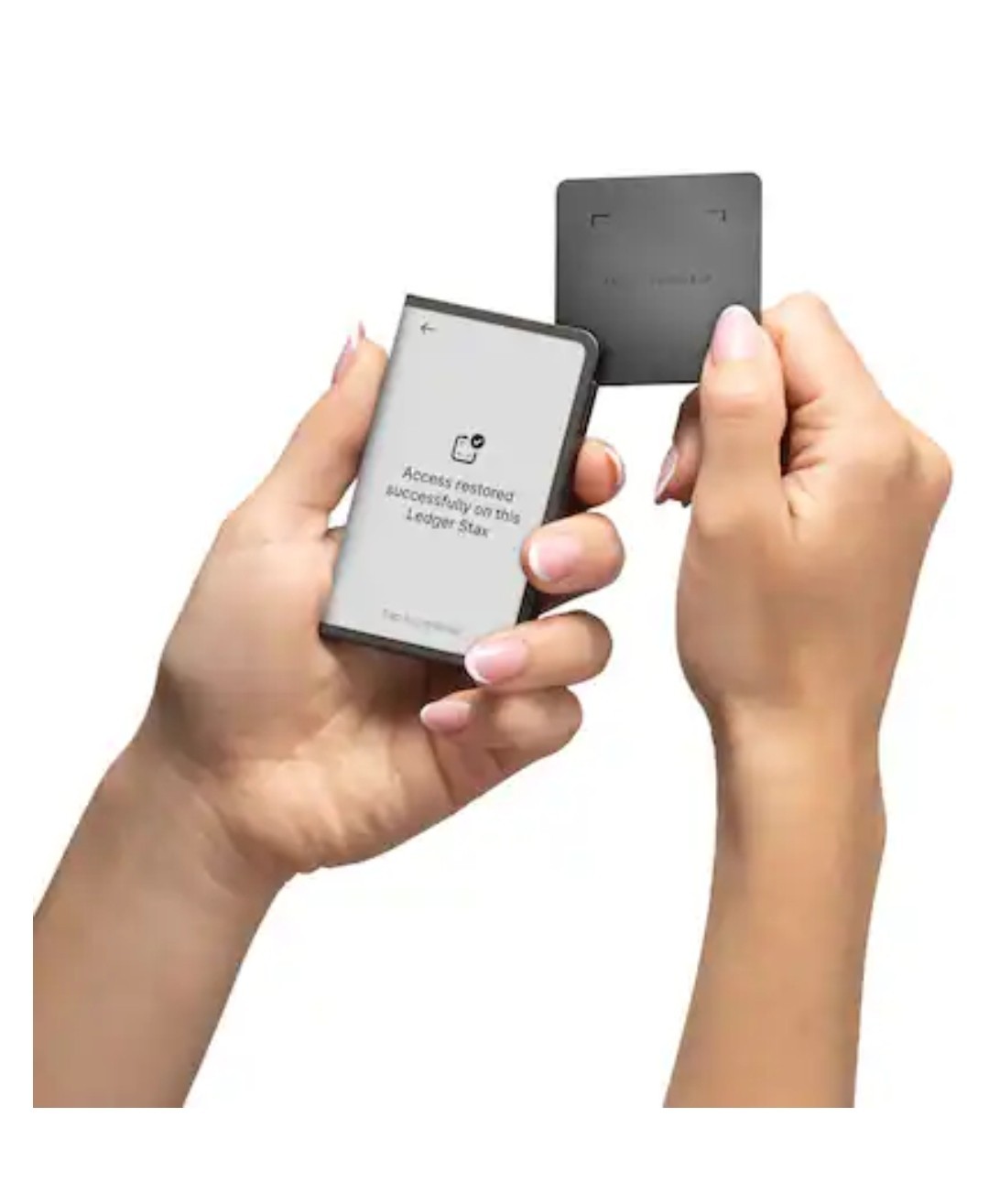 Ledger Stax