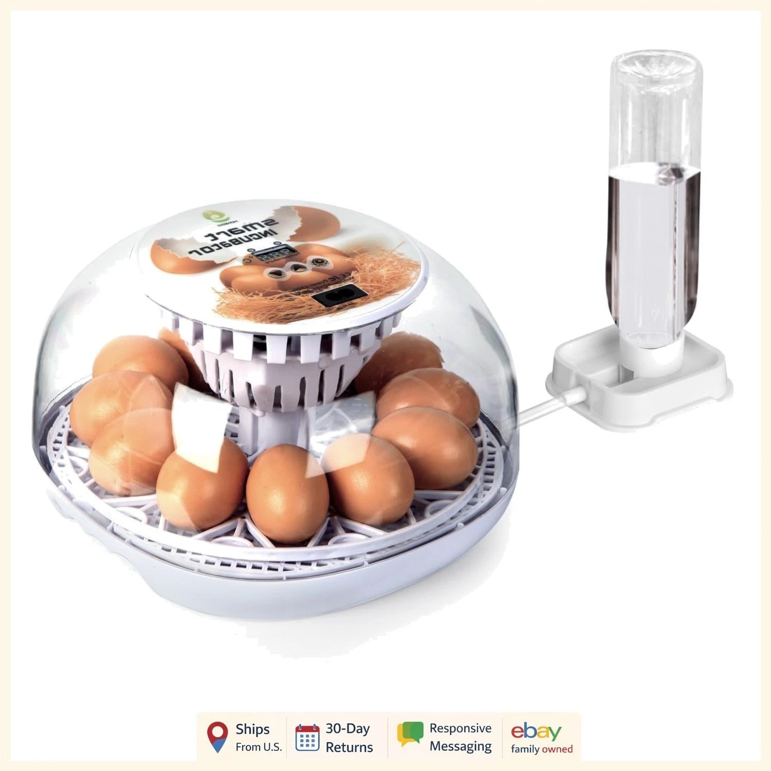 Automatic Egg Turner Incubator for 12 Eggs, Ideal for Beginners and Enthusiasts