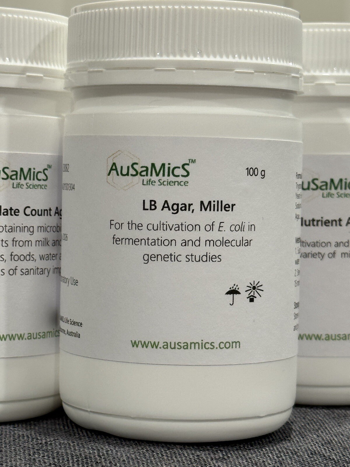 LB Luria-Bertani Agar Miller cultivation E. coli fermentation, molecular genetic