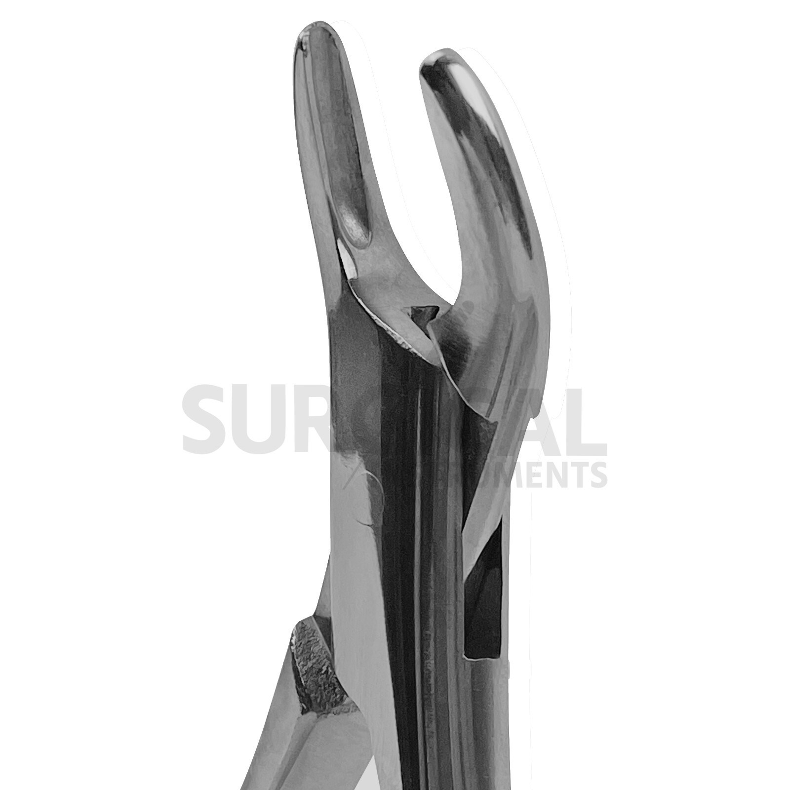Dental Extracting Forceps #101, Dental Instruments Tools Stainless German Grade