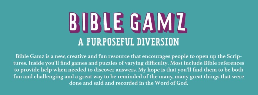 Bible Gamz: A Purposeful Diversion (Game Books)