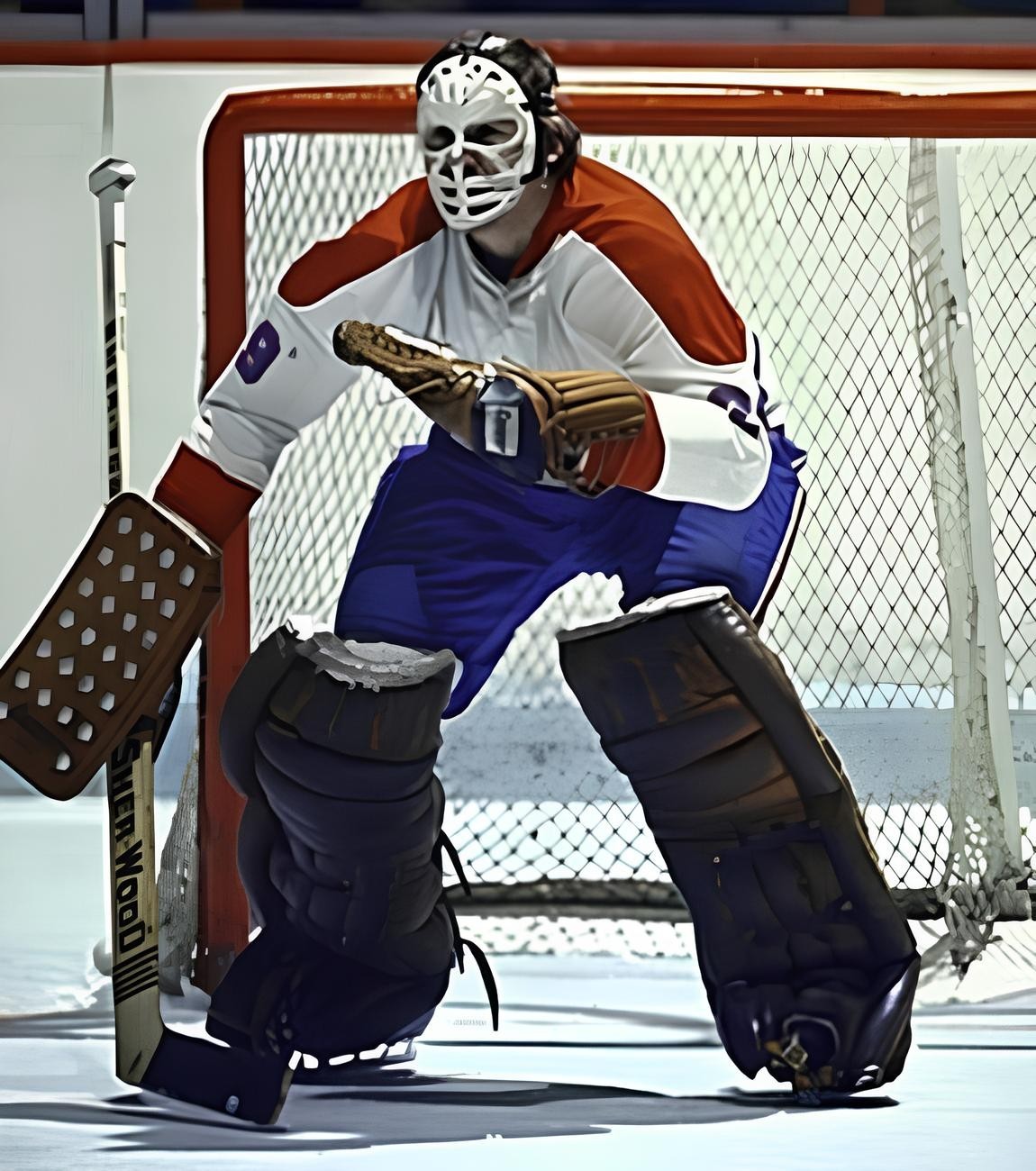 HOCKEY PHOTO PRINT NHL