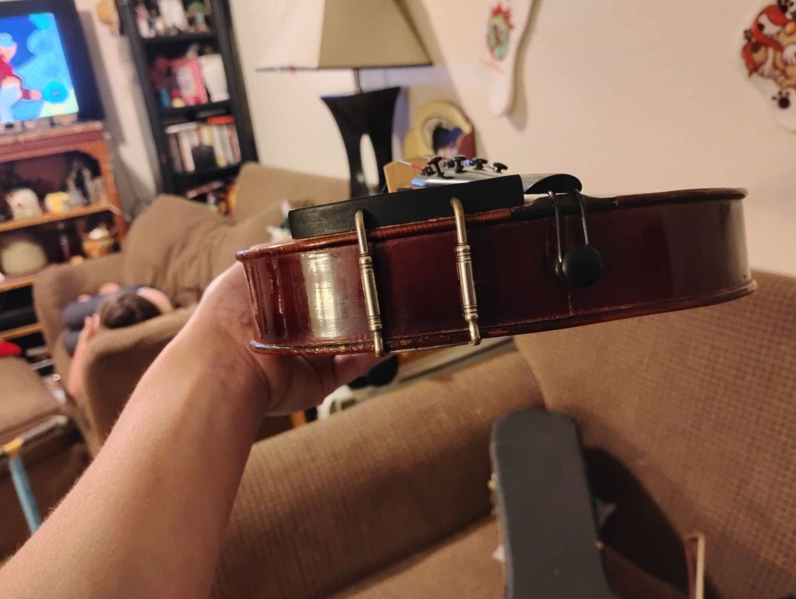 Violin