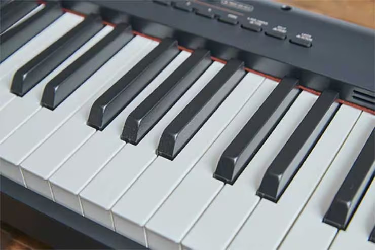 Casio CDP-S360 Weighted Hammer 88-Key Digital Piano