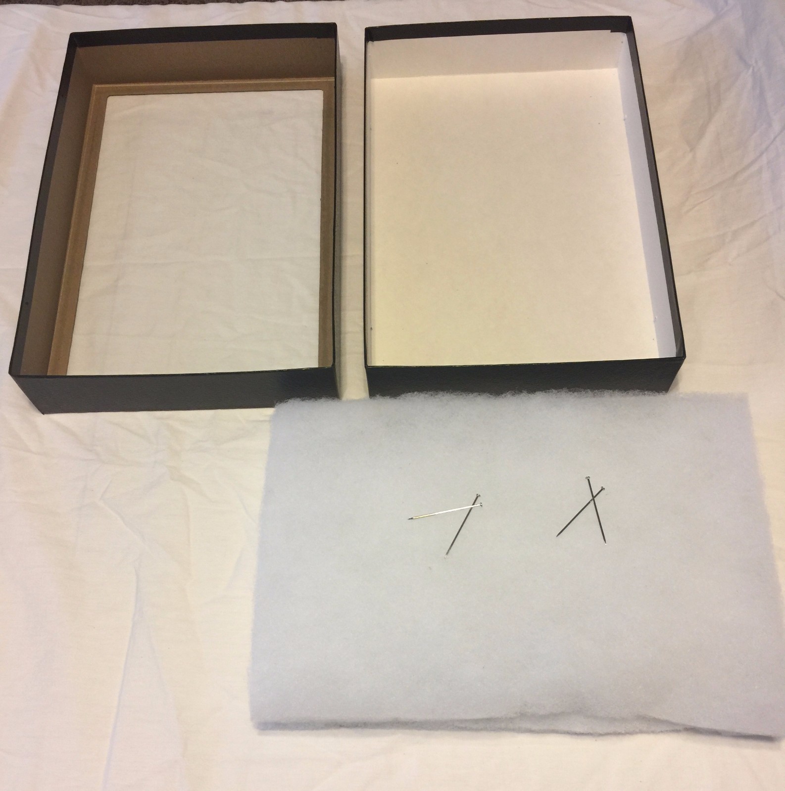 3-350 Riker Mount Display Case Shadow Box Frame Tray 12" X 8" X 2"