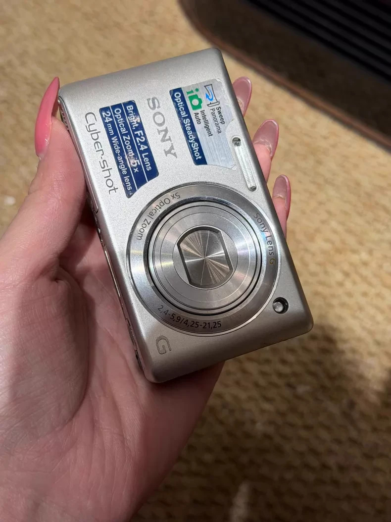 Sony Cyber-shot DSC-W380 14.1 MP Digital Camera 5X Optical Zoom English Silver