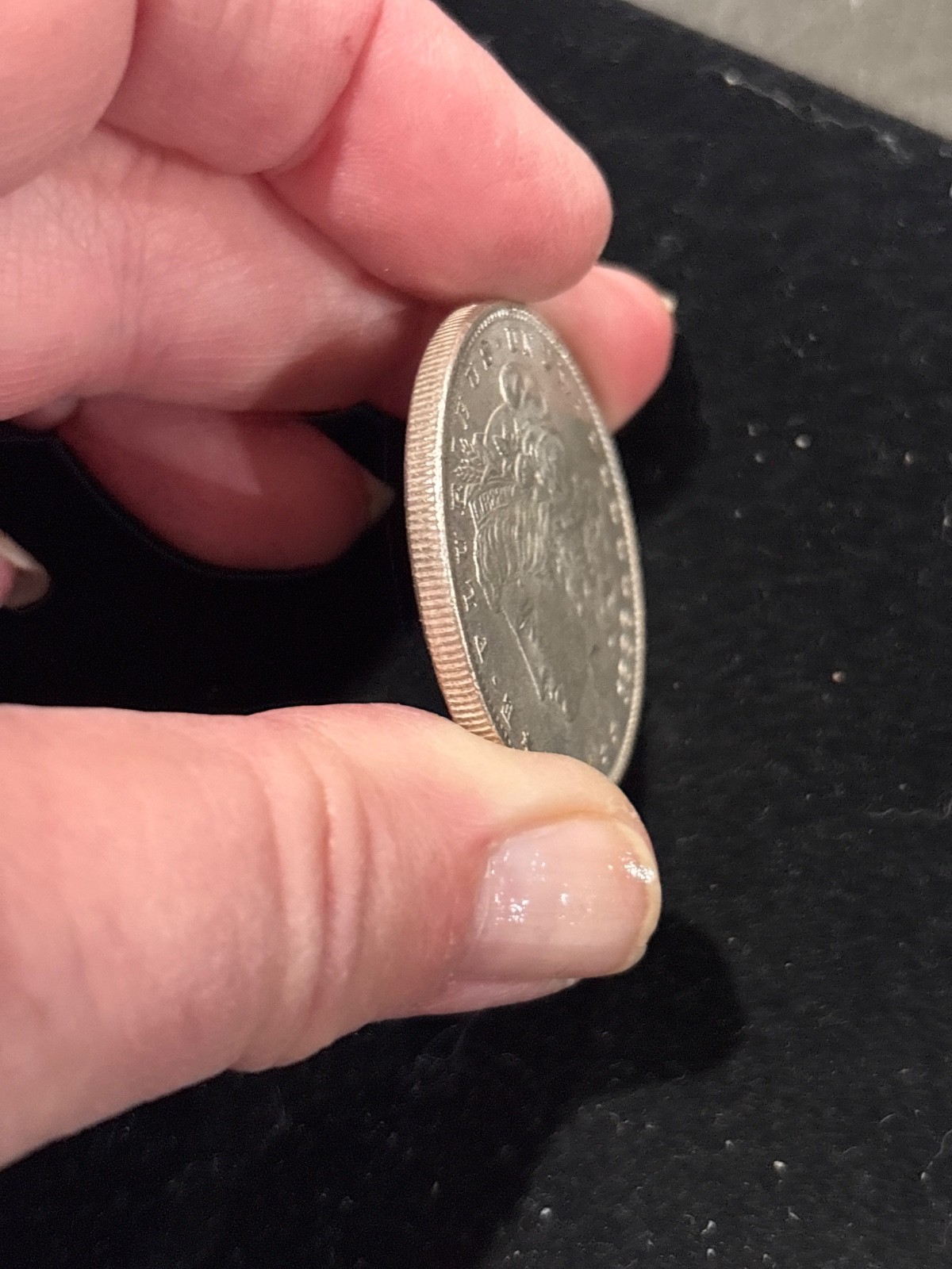 Morgan Silver Dollar 1886 P