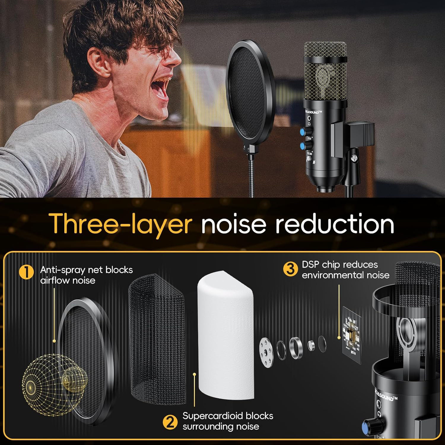 Upgraded Studio Recording Microphone with Isolation Shield & Pop Filter - Music