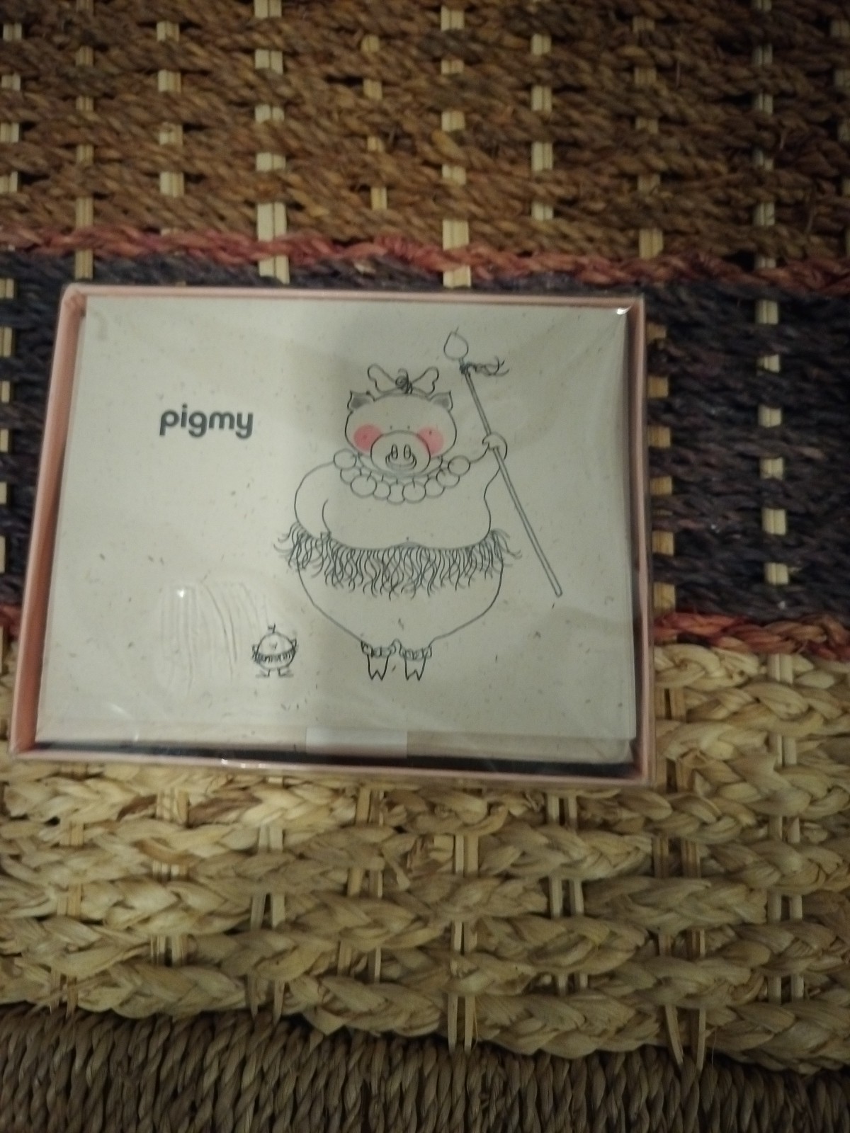 Set Of 10 Pigmy Note Cards In Gift Box, NEW