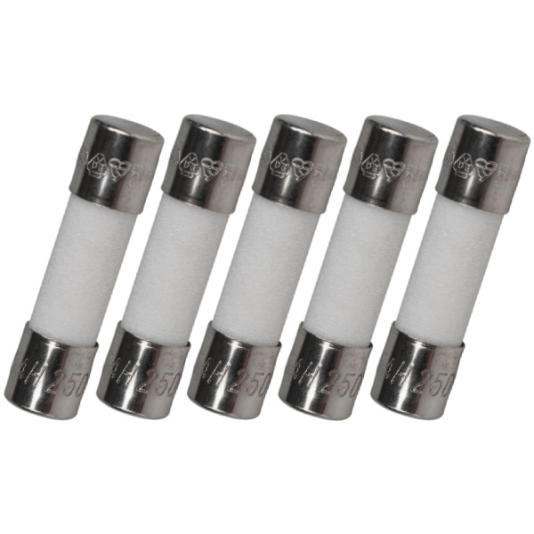 Lot 5x Slow-Blow Time Delay CERAMIC FUSE Tube 125V/250V 5x20mm 6X30mm US SELLER!